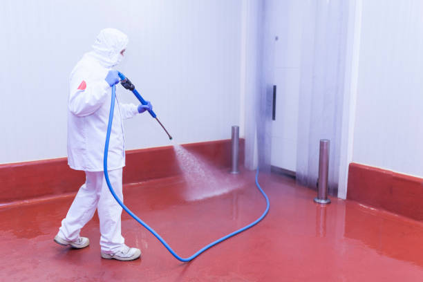 Best Patio and Deck Pressure Washing  in Coosada, AL